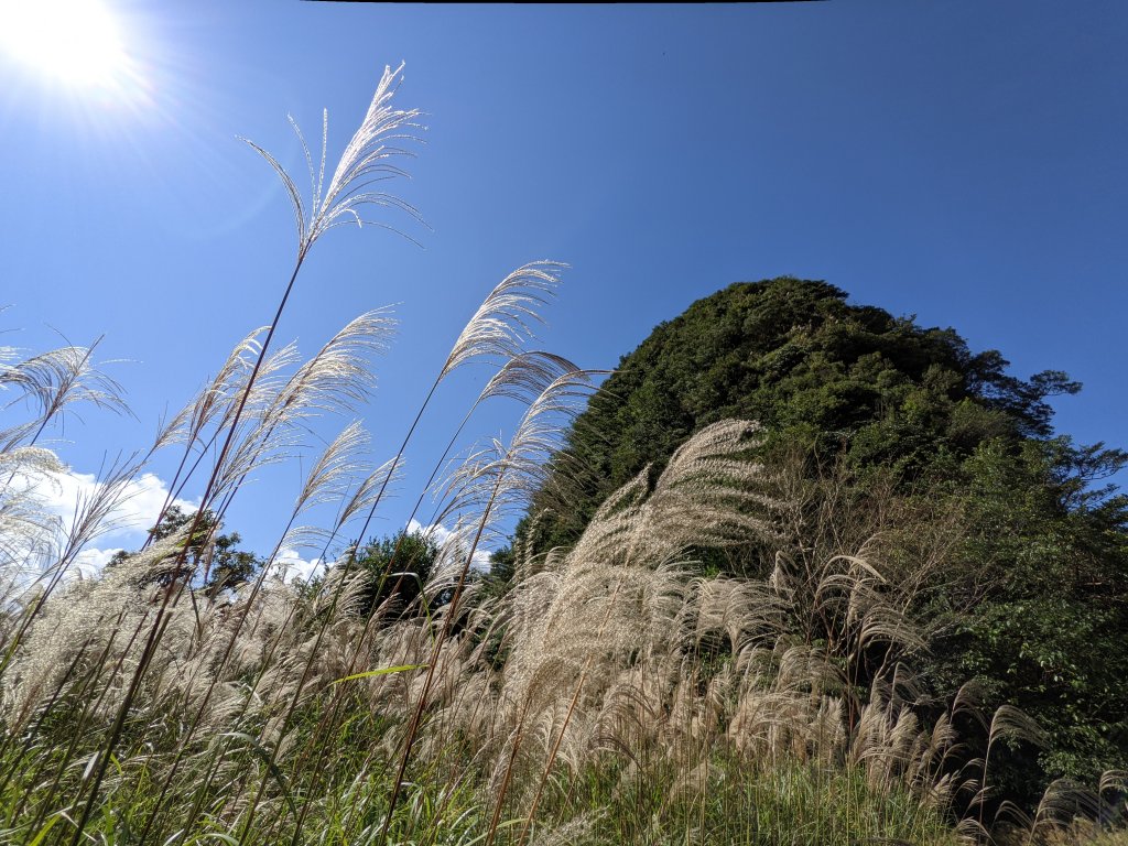 獅仔頭山粽串尖封面圖