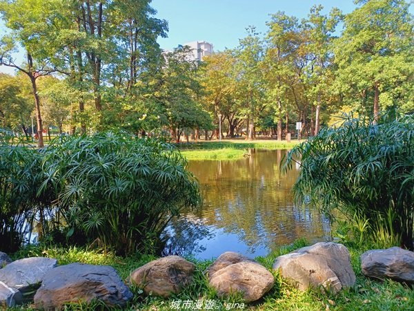 【高雄。鳳山新興】捷運小旅行~迷你版忘憂森林大東濕地步道x光之穹頂_1541882