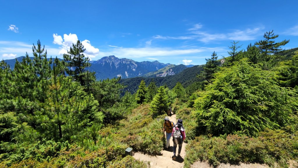 合歡山北峰， 石門山，霧峰奧山，青桐林生態園區，九九峰森林步道，桃源里森林步道，龍鳳谷森林步道_1779144