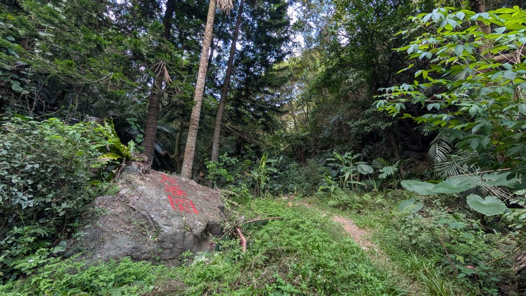 114.11.22鳶山彩碧-鳶山-鳶尾山之旅_2943555