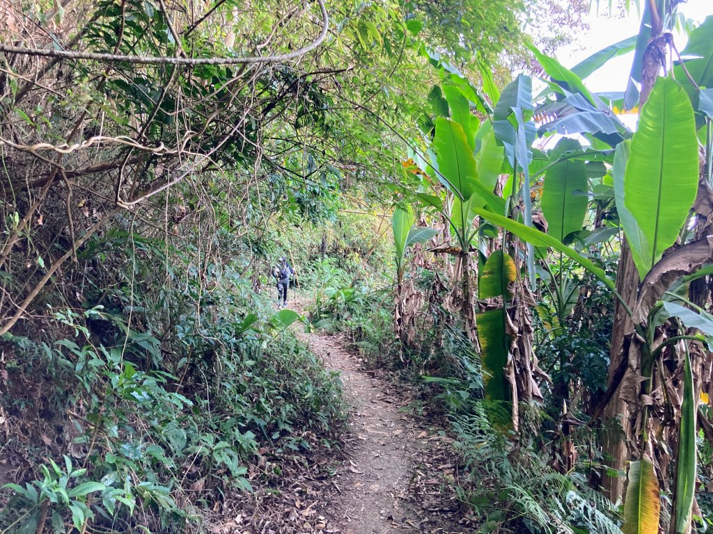 九份二山登山步道_2688028
