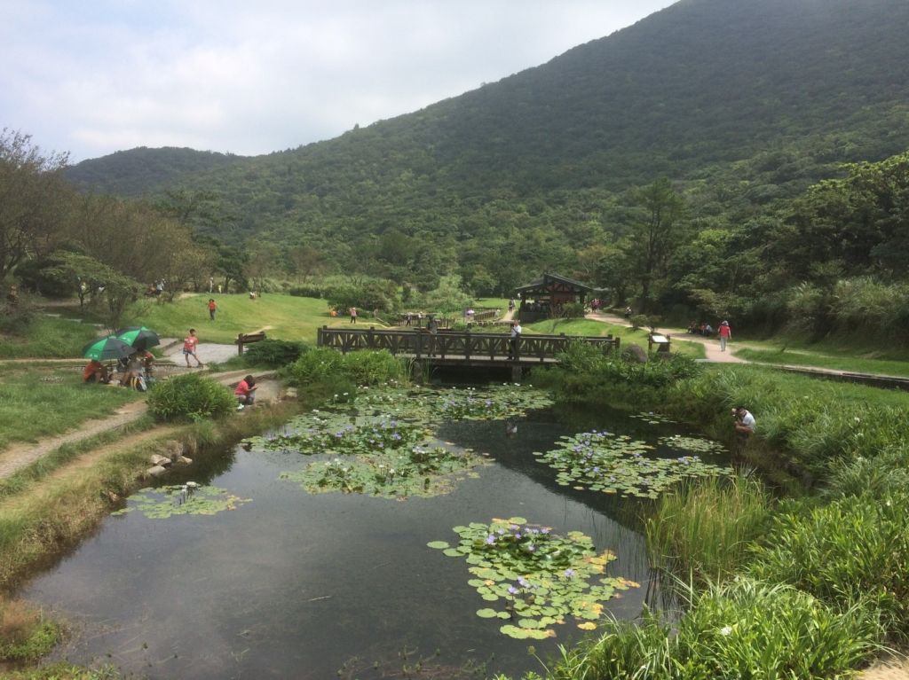 陽明山東西大縱走(上)_168528