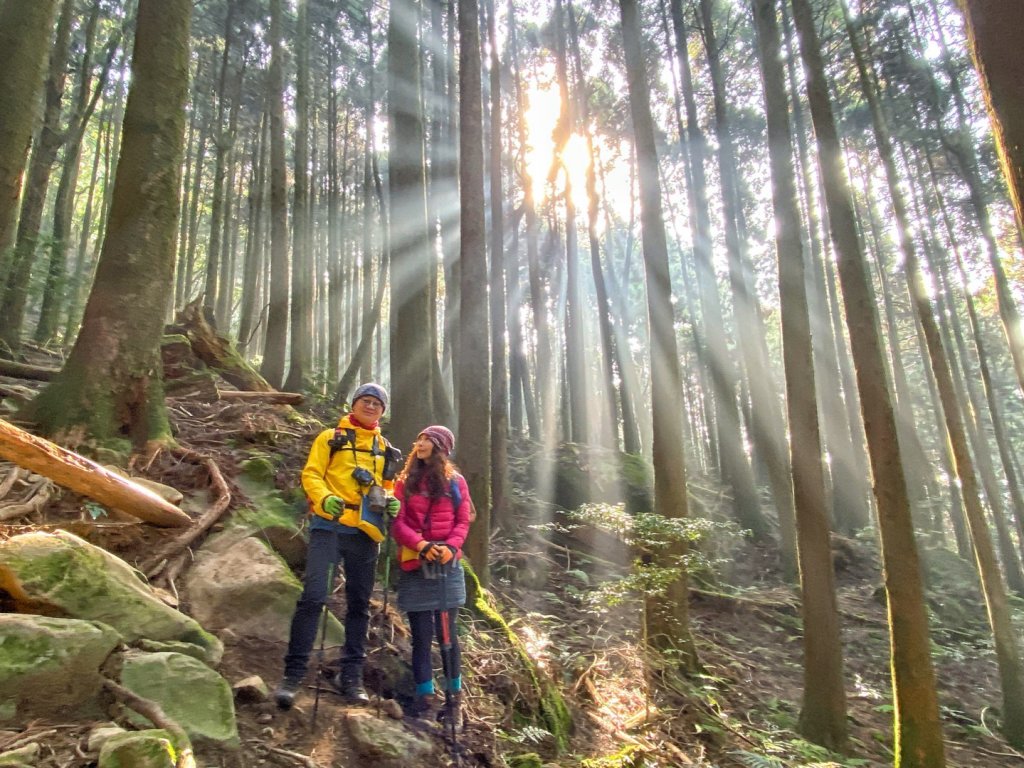 加里山 - 大坪登山口 杜鵑嶺上 二坪下_1280209
