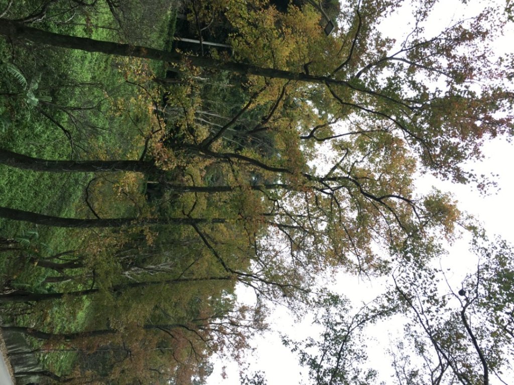 石門山o_2664090