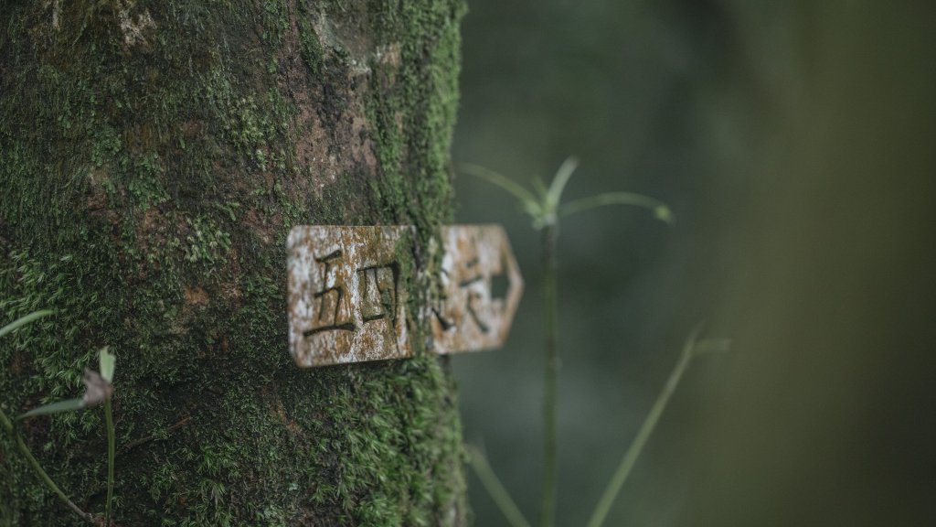 五色風馬旗海-四分尾山(天道清修院起登)_2106830