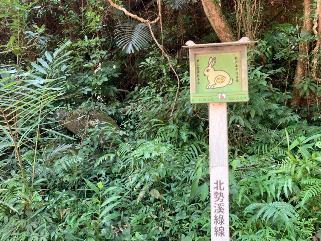 淡蘭古道中路（柑腳-外澳）_1466510