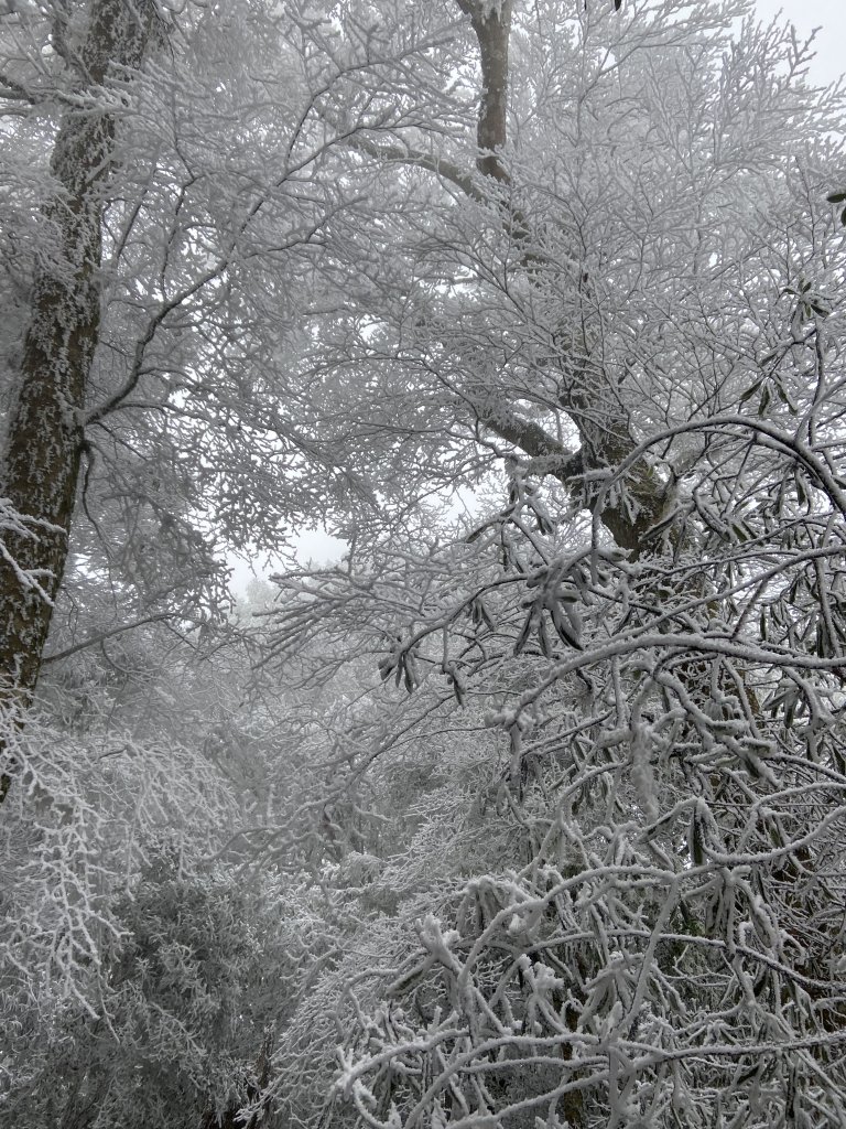 冰凍內鳥嘴~美得讓你哇聲不停_2010057