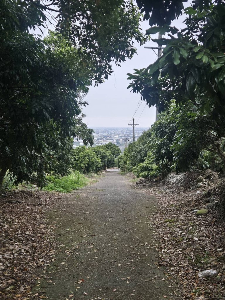橫山健行，順遊清水岩寺封面圖
