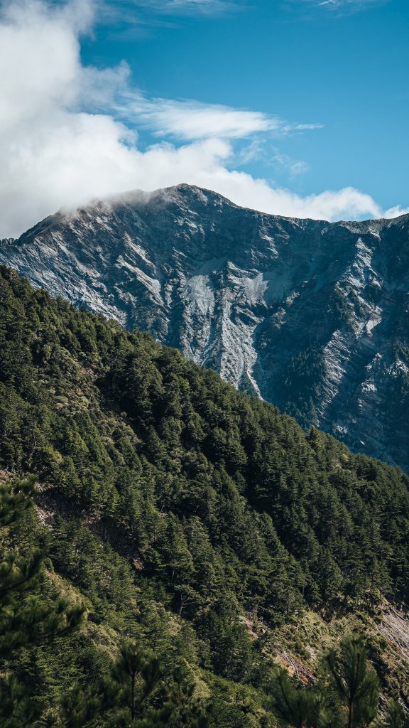 南橫百岳—關山嶺山_2383901