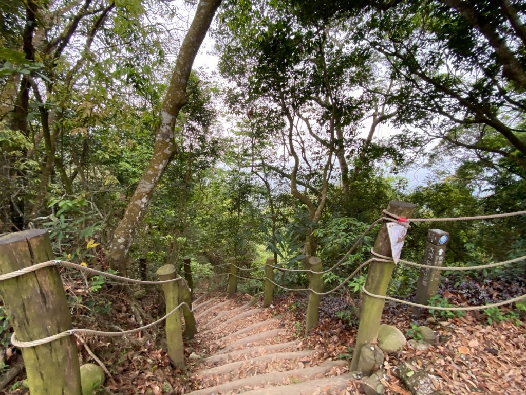 大坑2號原路來回封面圖