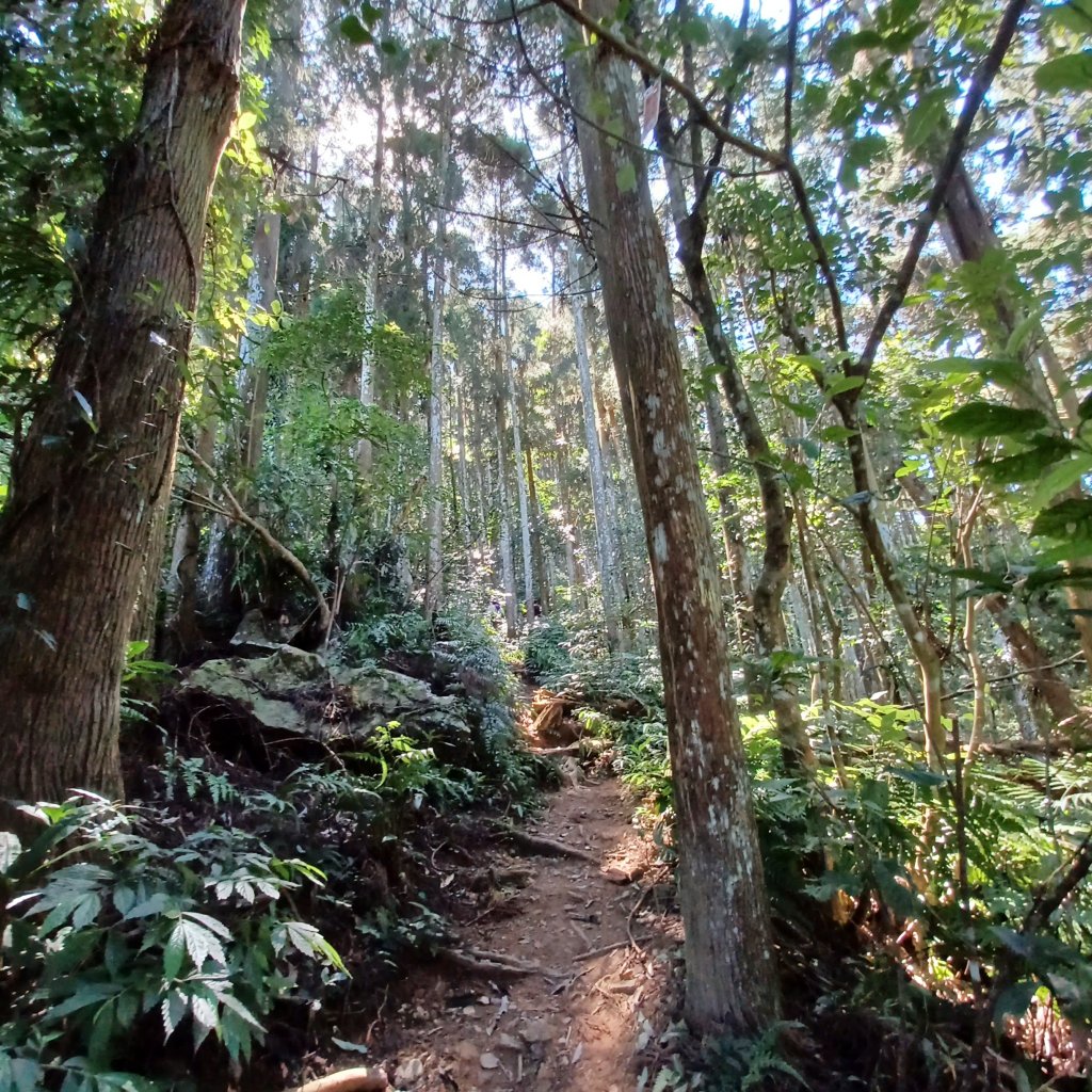 【苗栗南庄】向天湖山光天高山小O繞_2933148