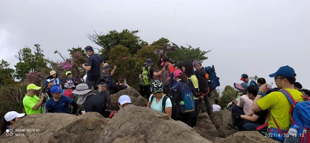 加里山 - 柳杉林留連忘返、攀岩走壁唉唉叫_1368910