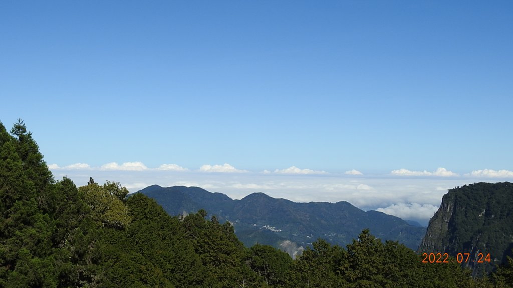 最高小百岳-大塔山2663M&阿里山二延平步道_1775046