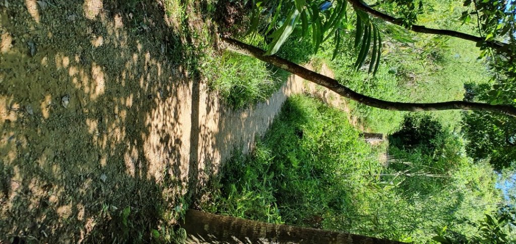 台北大縱走第六段_1452582