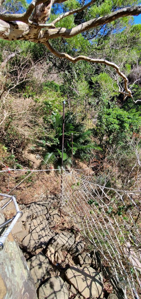 2023-01-27里龍山自然步道_2011063