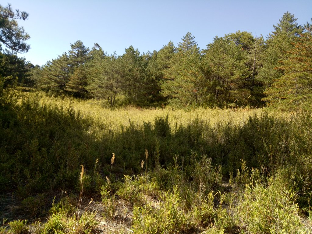 將軍廟上天鑾池+武法奈尾山_1881014