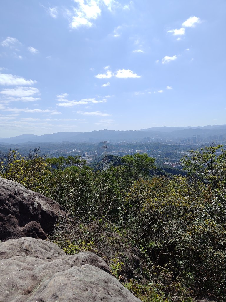 20260315金面山封面圖