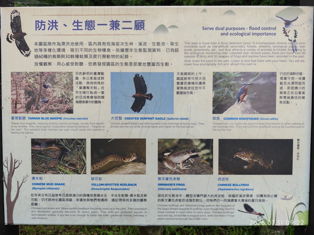 大湖公園→大溝溪生態治水園區→圓覺寺步道→圓覺瀑布→圓覺寺→鯉魚山步道【臺北大縱走 4、臺北健走趣】_2849078
