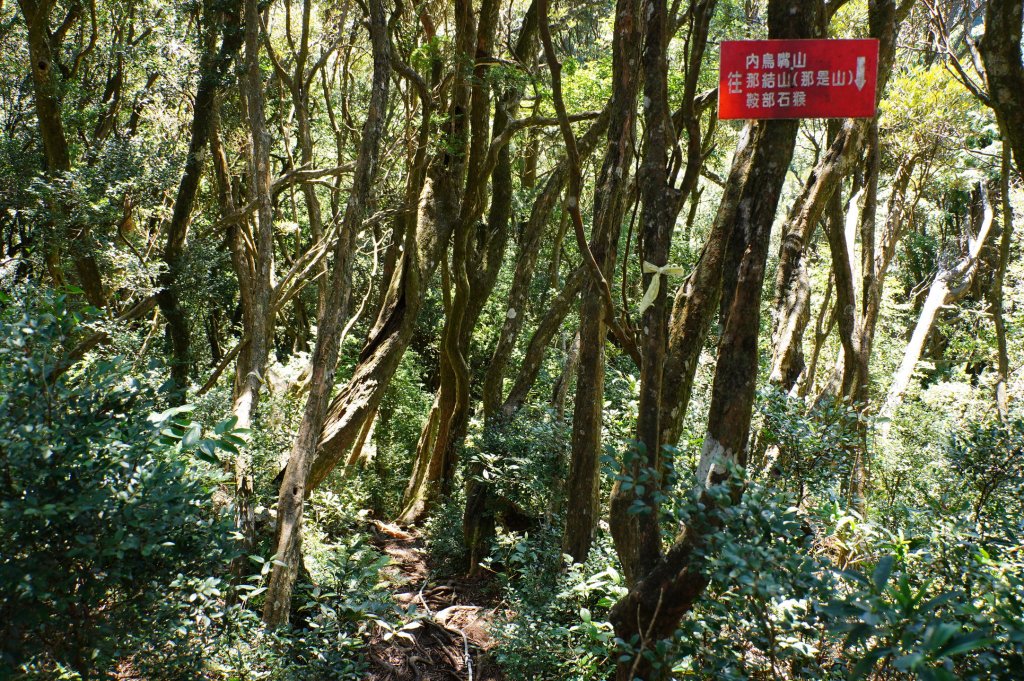 新竹 尖石 貴妃山、那結山_2913602