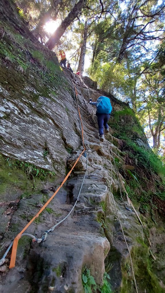 111/07/23畢羊縱走DAY 1(大禹嶺-820林道-畢祿山-鋸東山屋)_1777454