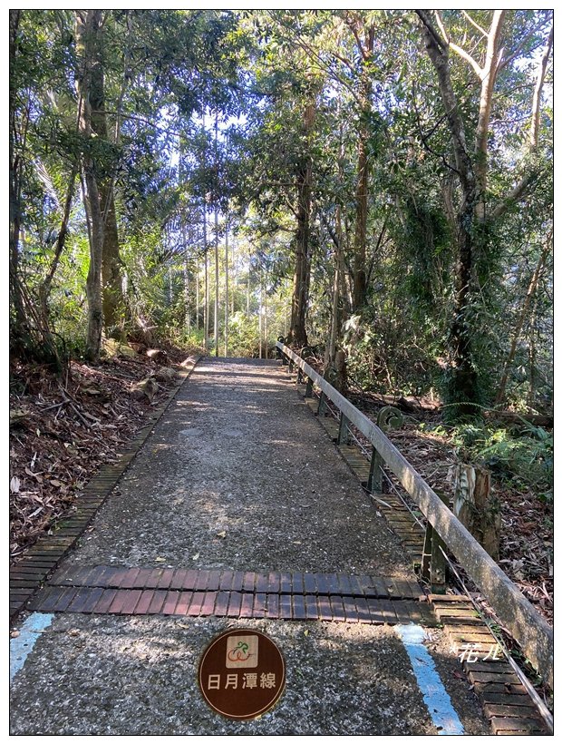 頭社山主峰及基點峰(社頭山)_2681607