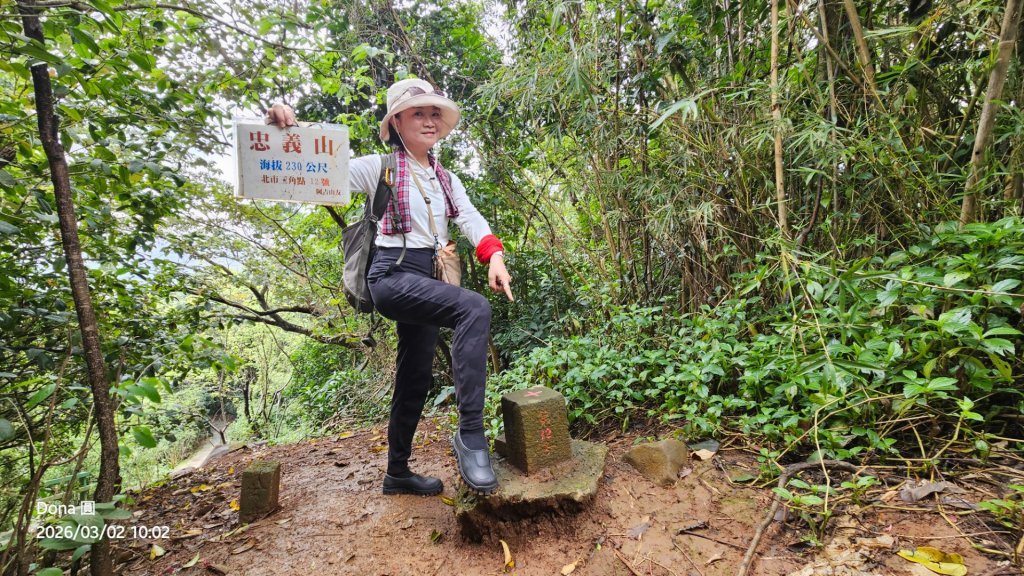20260302忠義山.小坪頂山.貴子坑山大O走_3009812