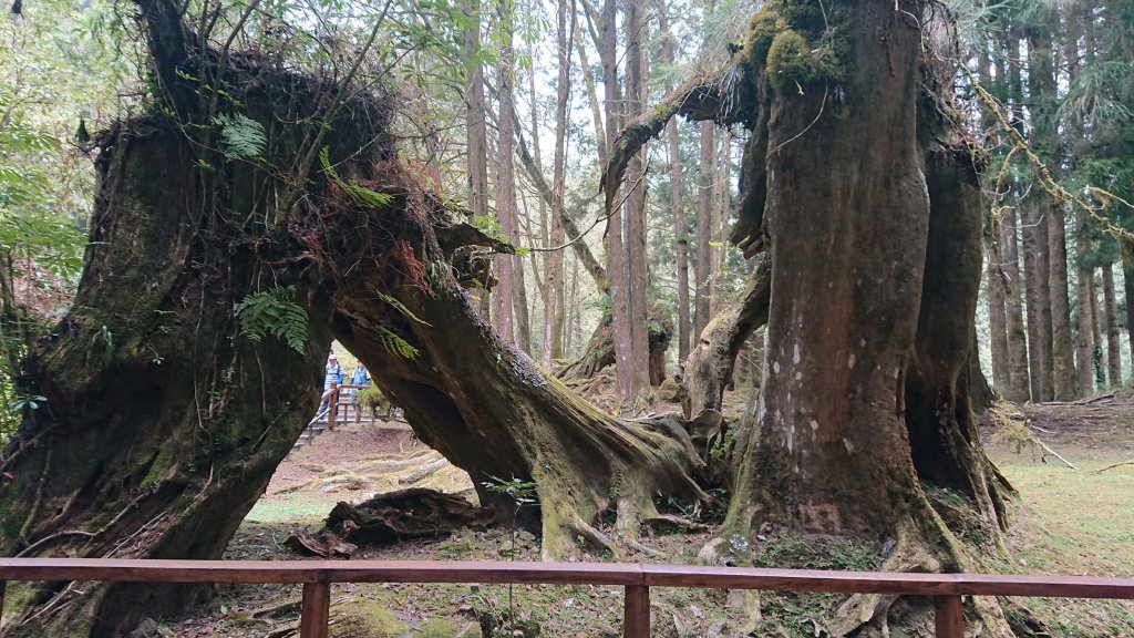 20210321神阿縱走_1618205