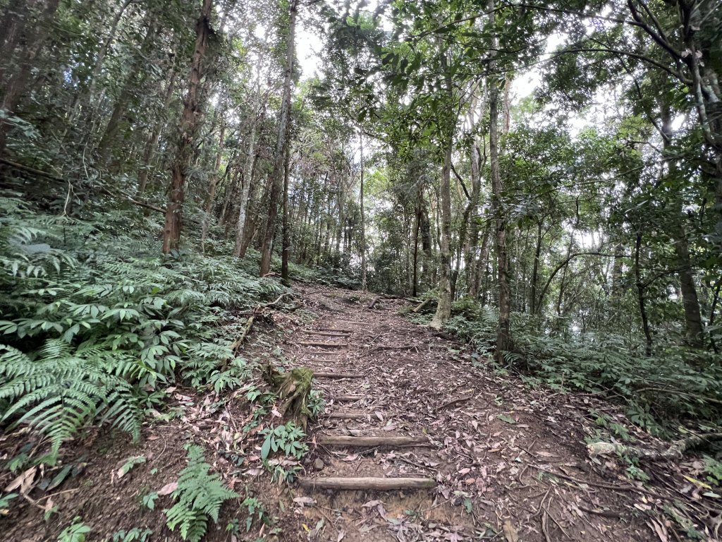 2023-08-13 馬那邦山（馬拉邦山）_2251260