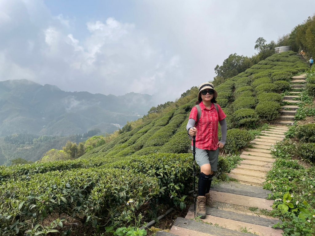 230416-小百岳#057 梨子腳山。18禁-竟能在茶樹上偶遇黑線黃尺蛾。美美兔O繞走成8字。_2117338
