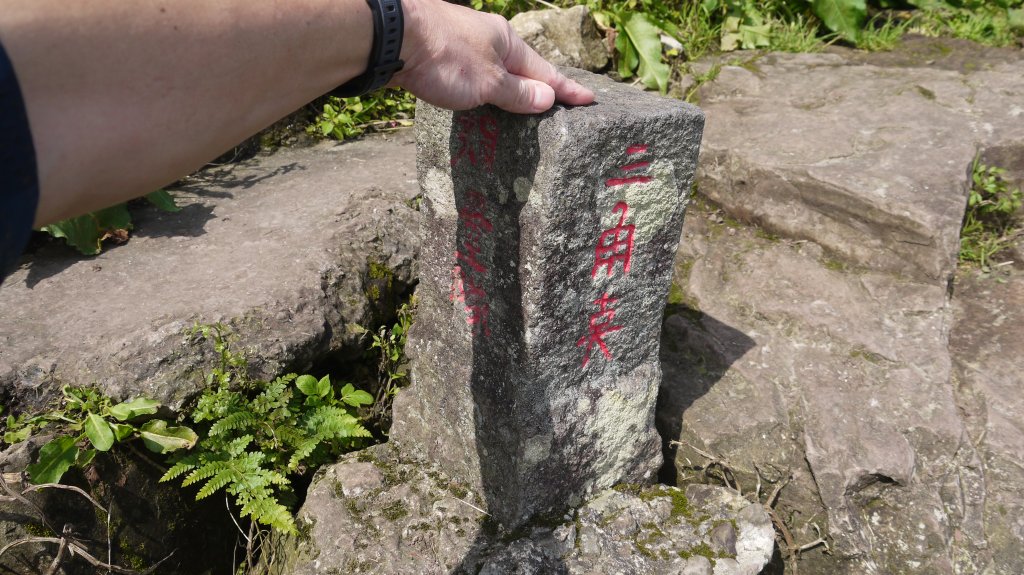 觀音山登山健行趣(小百岳05號)_1632390