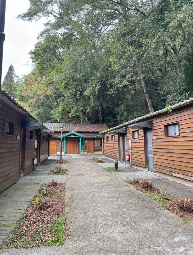 觀霧瀑布 賞鳥步道_2926768