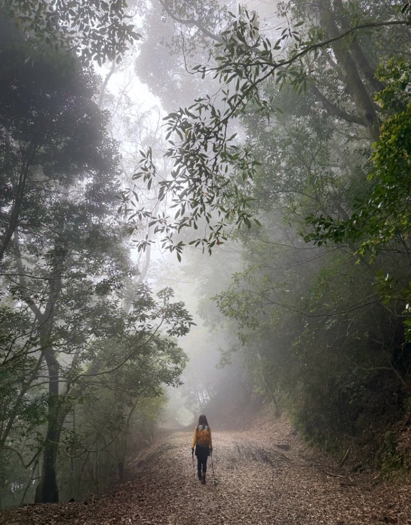 雪霸國家公園 雪見遊憩區 東洗水山_2928553