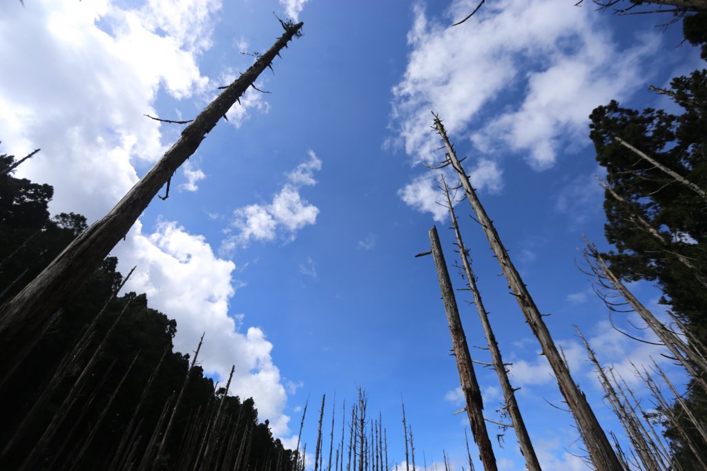 水樣森林 第一次在山裡過夜_659402
