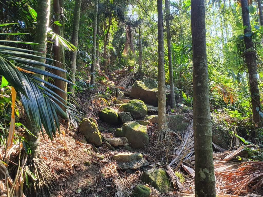 華山10號系列步道封面圖