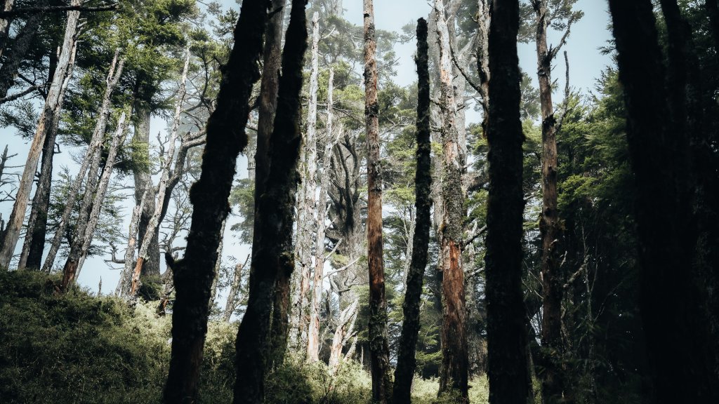 南橫百岳—庫哈諾辛山_2364705