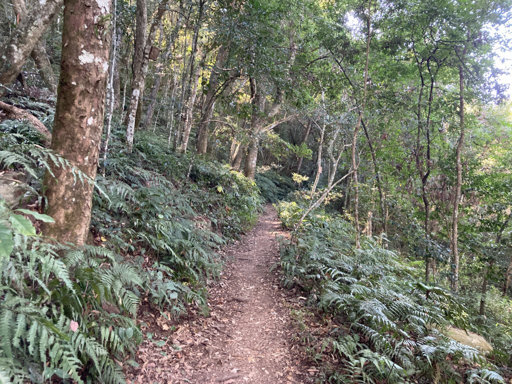 20221120馬崙山封面圖