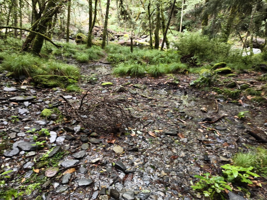 北一段(04/14)中央尖山 2025_0906~13_2885542