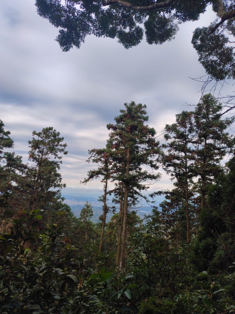 鳳鳴古道 鳳鳴山 南隘勇（南長城）古道 三湖山 八達嶺（龍骨）古道 綠色古道 延平古道_2975231