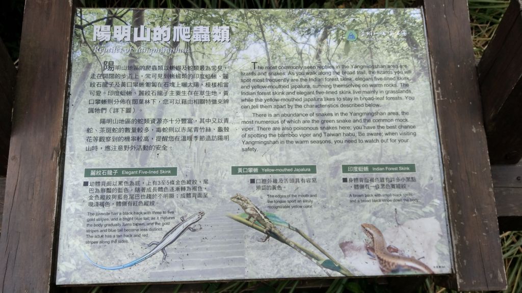 陽明山東西大縱走活動_403048