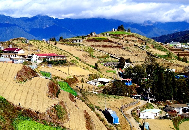 山風15度C吹拂 ~ 合歡溪 步道_1551758