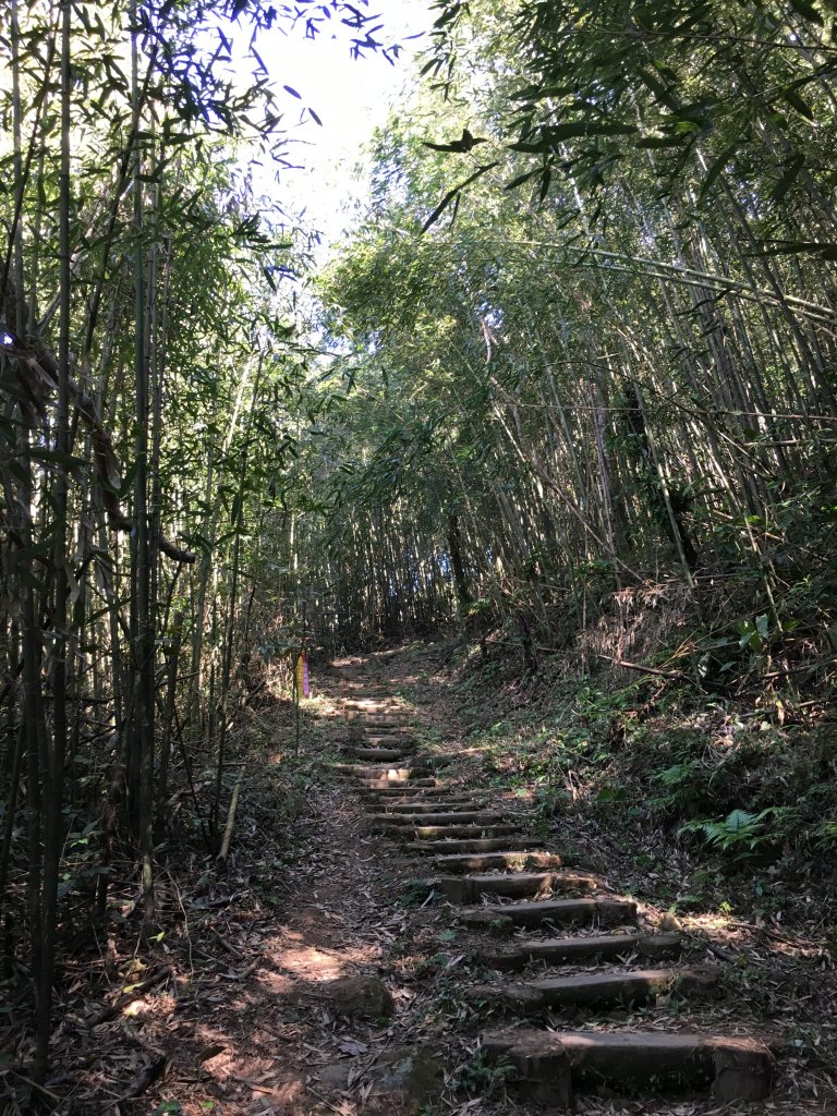 20161218_馬那邦山_874339