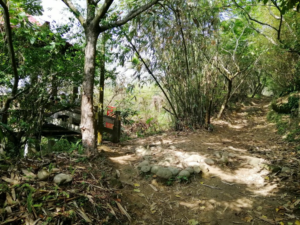 台南白河~台南第一高峰。 關仔嶺大凍山_917818