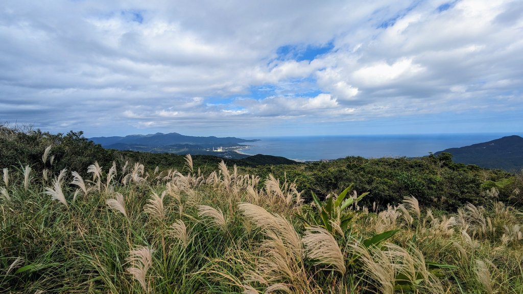龜媽坑古道,雪山尾稜南段,草嶺古道_2354642