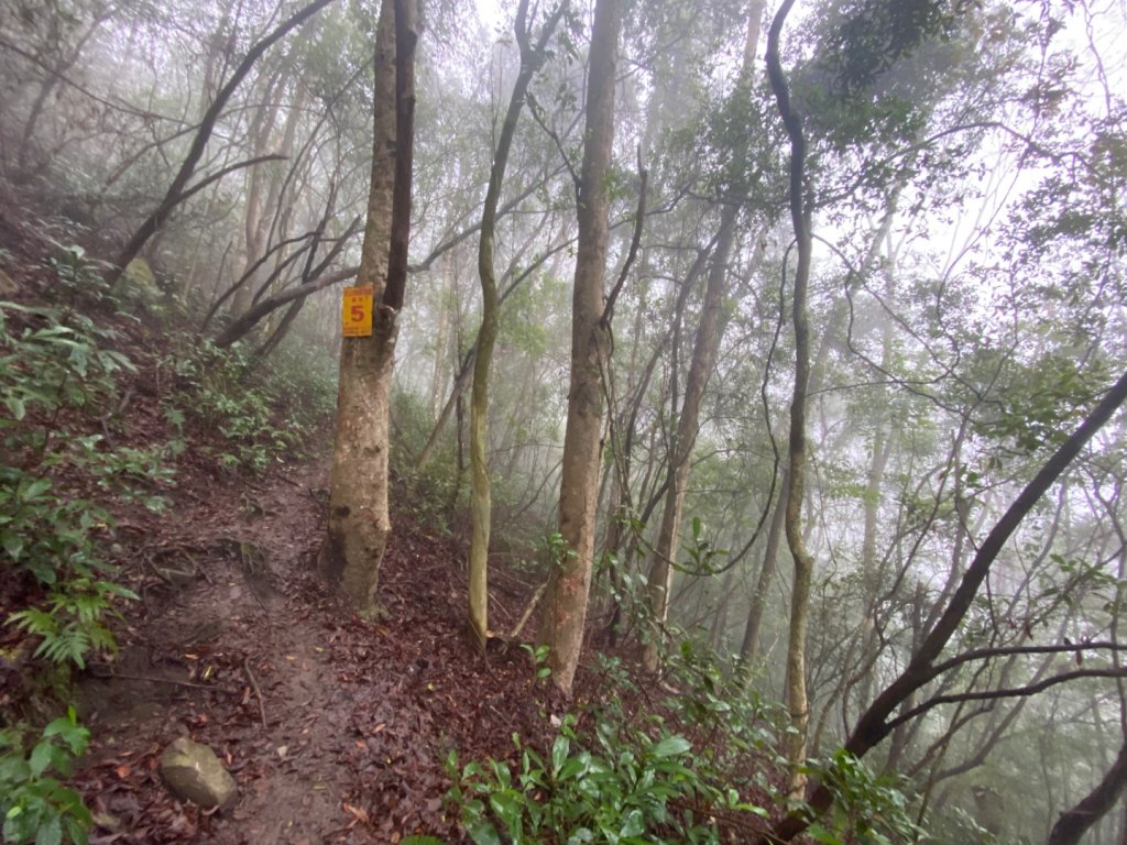 苗栗泰安-水雲三星-虎山_2612798