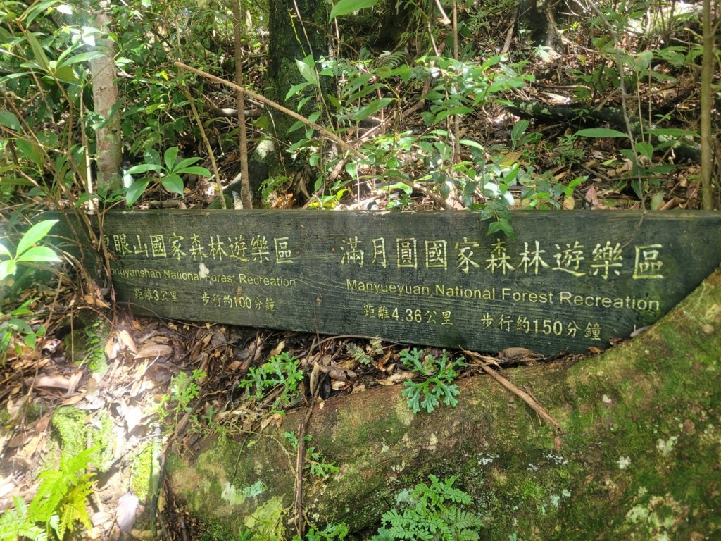 20230812 志繼山 東眼山 拉卡山 卡外山  東眼四瞳 東眼山國家森林遊樂區_2245988