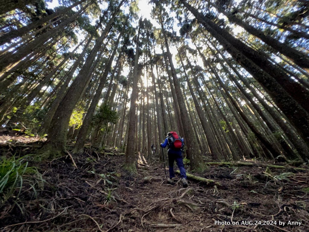 民都有山就是漂亮的夏天冷氣房_2582221