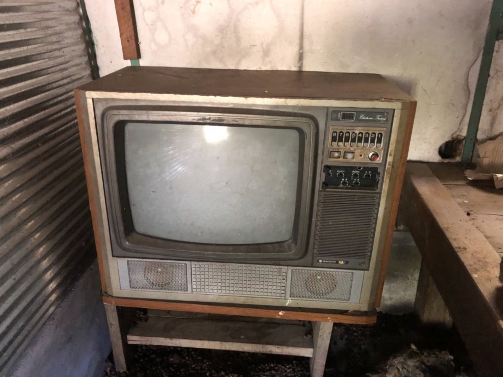 雪山西稜+大安溪神木_553273