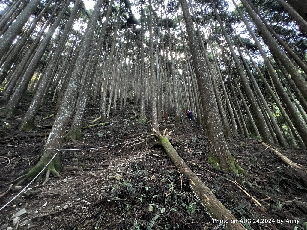 民都有山就是漂亮的夏天冷氣房_2582215