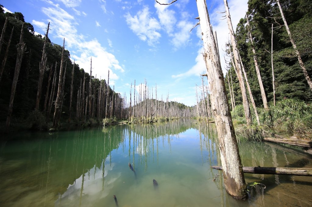 水樣森林 第一次在山裡過夜_659225
