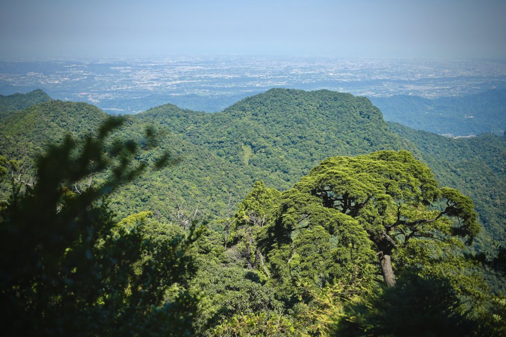 尖石鄉：那結山、貴妃山_1080941